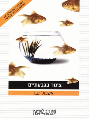 cover image of צימר בגבעתיים - Zimmer in Givatayim